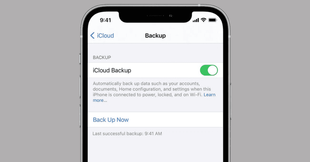 From iCloud Backup